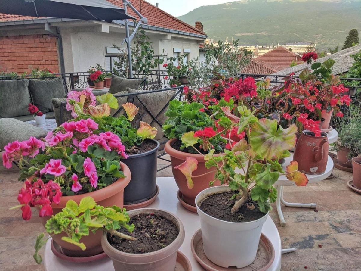 Apartments Evelyn Οχρίδα Εξωτερικό φωτογραφία