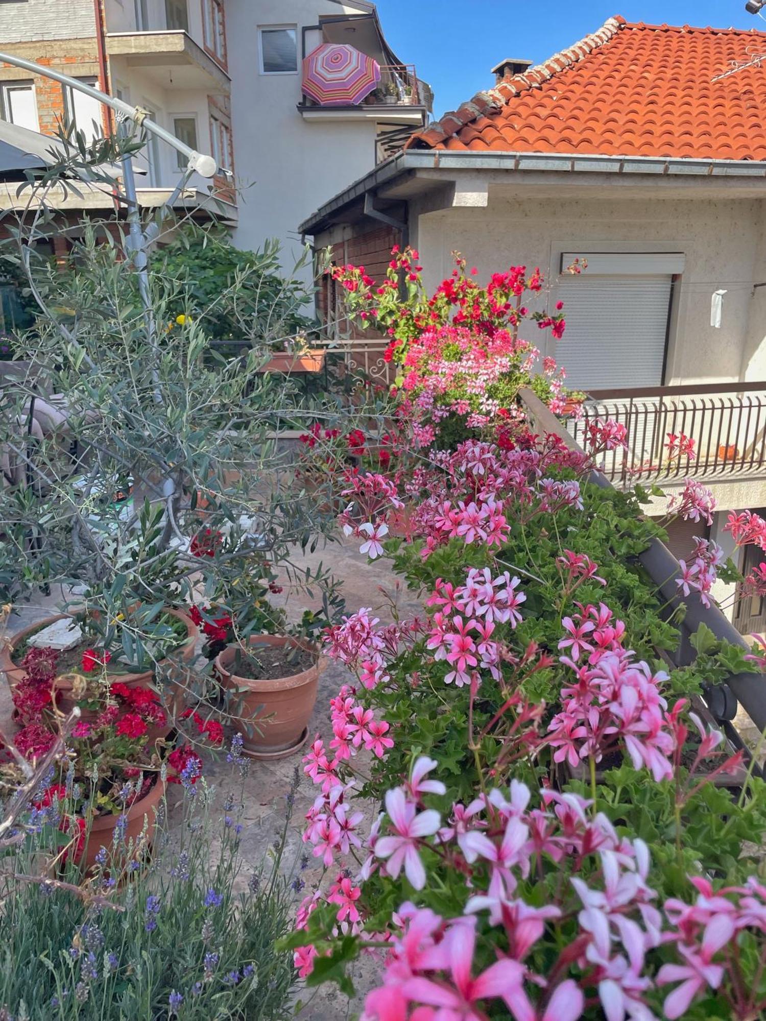Apartments Evelyn Οχρίδα Εξωτερικό φωτογραφία